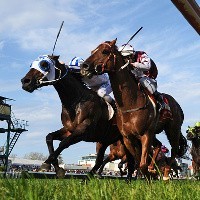 Anti-horse racing billboard pulled down after outcry: Do shock tactics really work in advertising?